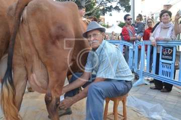 Día grande de las fiestas de Los Llanos 2018 (Foto Antonio Alí/Francisco Javier Santana, Jesús Ruiz y TA)